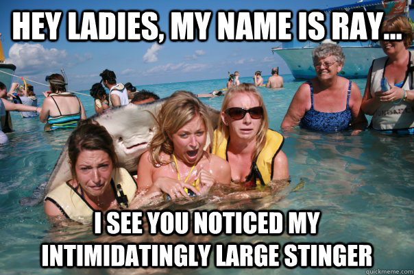 HEY LADIES, MY NAME IS RAY... I SEE YOU NOTICED MY INTIMIDATINGLY LARGE STINGER  Pervert Stingray