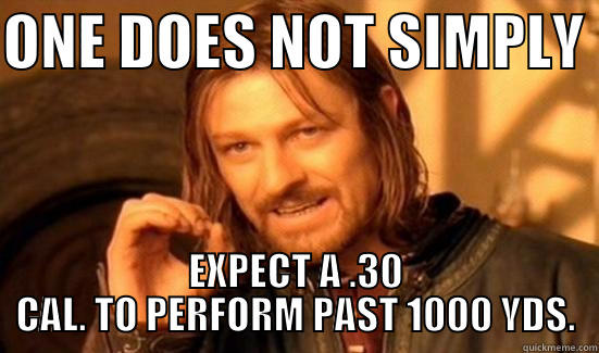 ONE DOES NOT SIMPLY  EXPECT A .30 CAL. TO PERFORM PAST 1000 YDS. Boromir