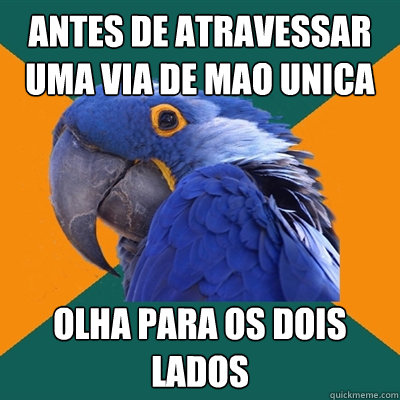antes de atravessar uma via de mao unica olha para os dois lados  Paranoid Parrot