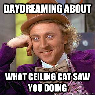 daydreaming about what ceiling cat saw you doing  Creepy Wonka