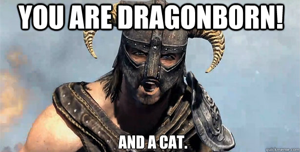 you are dragonborn! and a cat. - you are dragonborn! and a cat.  skyrim