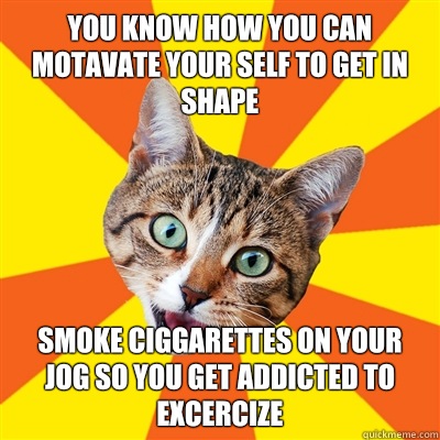 You know how you can motavate your self to get in shape Smoke ciggarettes on your jog so you get addicted to excercize  Bad Advice Cat