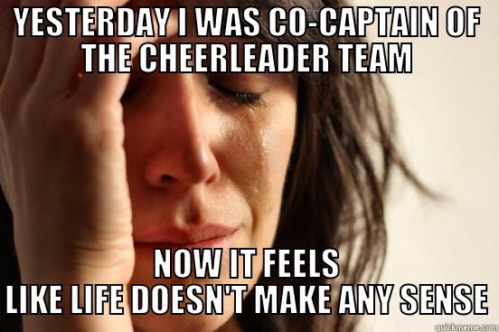 YESTERDAY I WAS CO-CAPTAIN OF THE CHEERLEADER TEAM NOW IT FEELS LIKE LIFE DOESN'T MAKE ANY SENSE First World Problems