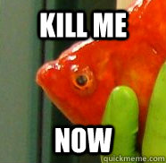 Kill Me Now - Kill Me Now  Misc