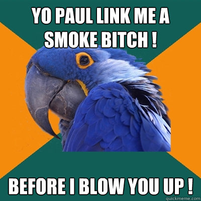 Yo Paul link me a smoke bitch ! before i blow you up !  Paranoid Parrot