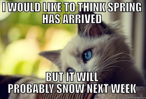 I WOULD LIKE TO THINK SPRING HAS ARRIVED BUT IT WILL PROBABLY SNOW NEXT WEEK First World Problems Cat