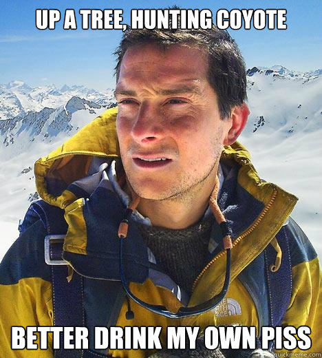 Up a tree, hunting Coyote Better drink my own piss - Up a tree, hunting Coyote Better drink my own piss  Bear Grylls
