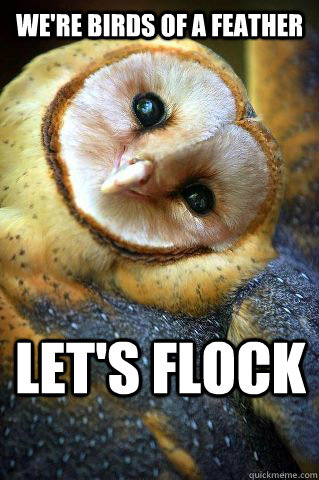 We're birds of a feather Let's flock - We're birds of a feather Let's flock  Successfully Seductive Owl