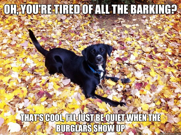 Oh, you're tired of all the barking? That's cool, I'll just be quiet when the burglars show up  Guilt Giving Good Dog
