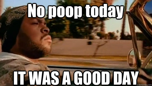 No poop today IT WAS A GOOD DAY  