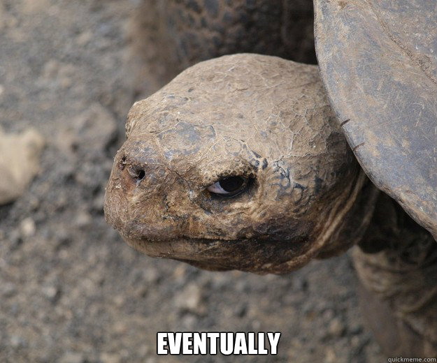  EVENTUALLY  Insanity Tortoise