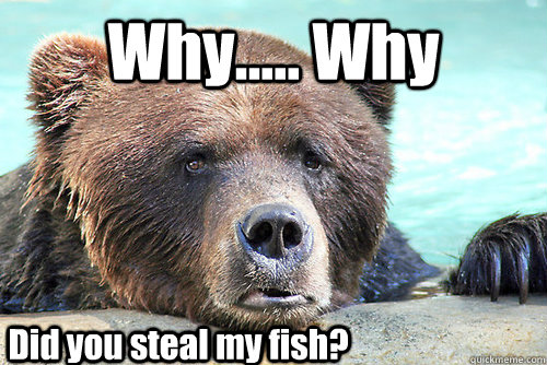 Why..... Why Did you steal my fish?  