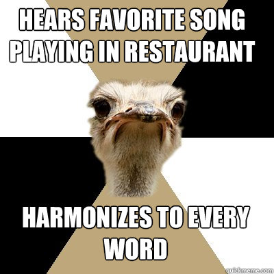 hears favorite song playing in restaurant  harmonizes to every 
word - hears favorite song playing in restaurant  harmonizes to every 
word  Music Major Ostrich