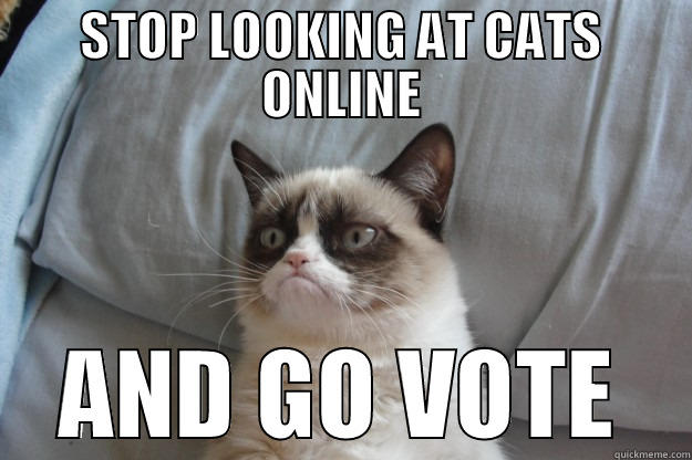 STOP LOOKING AT CATS ONLINE AND GO VOTE Grumpy Cat