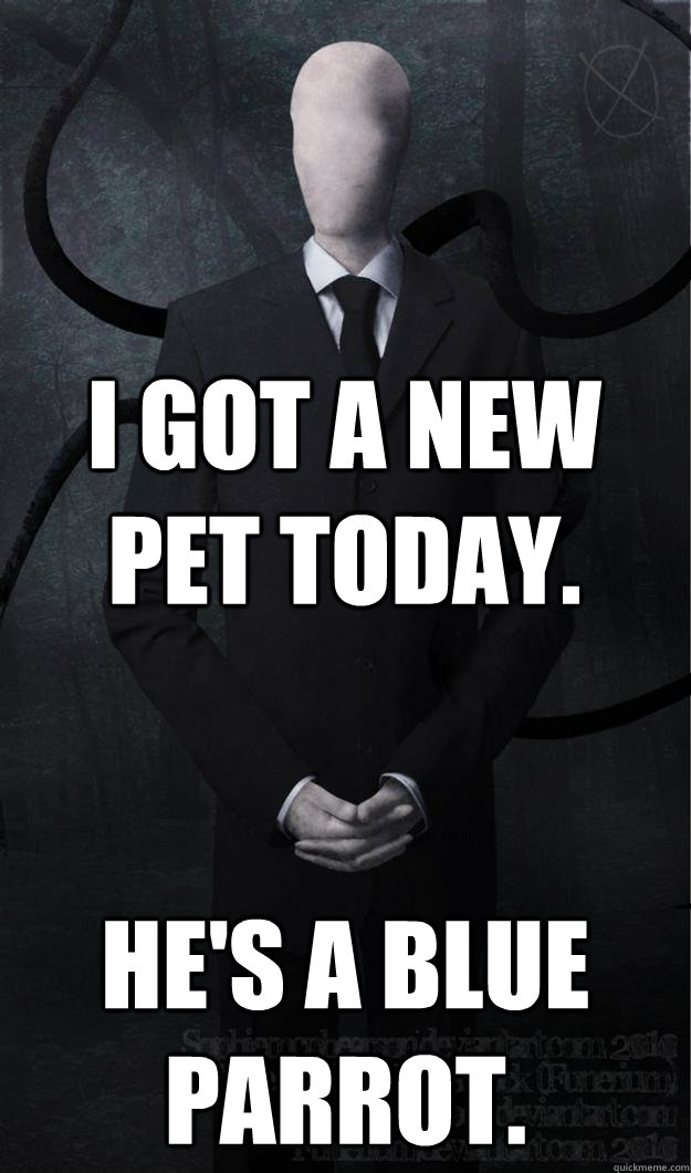I got a new pet today. He's a blue parrot.  Slenderman