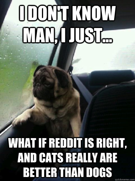 I don't know man, I just... what if reddit is right, and cats really are better than dogs - I don't know man, I just... what if reddit is right, and cats really are better than dogs  Introspective Pug