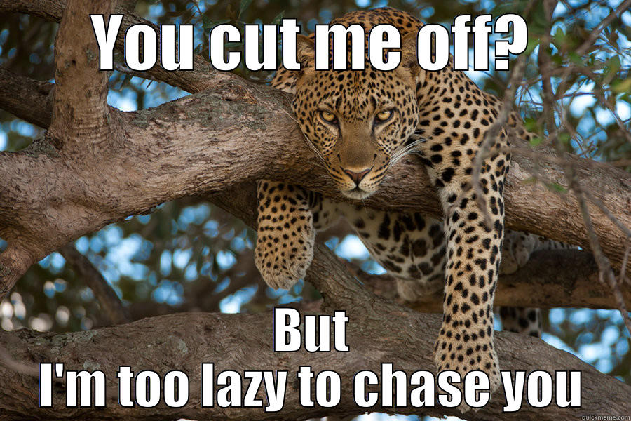 YOU CUT ME OFF? BUT I'M TOO LAZY TO CHASE YOU Misc