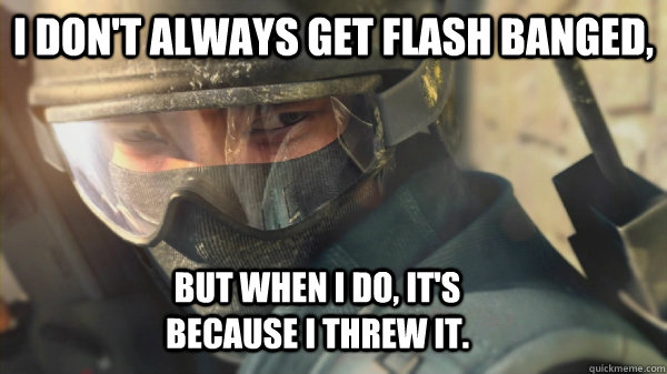 I don't always get flash banged, but when I do, it's because I threw it.   