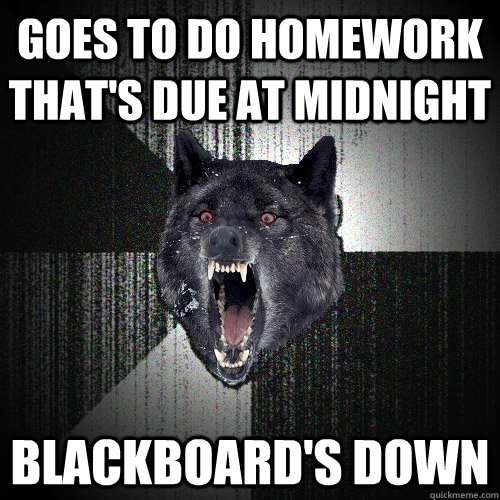 Goes to do homework that's due at midnight blackboard's down  Insanity Wolf