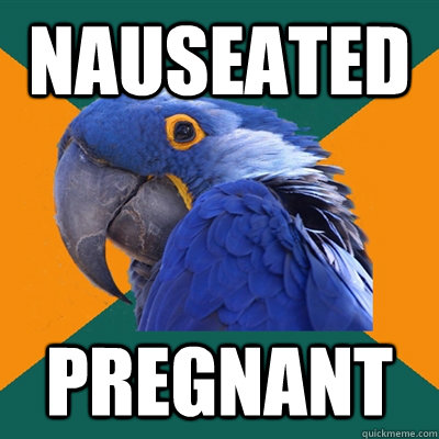 Nauseated Pregnant  Paranoid Parrot