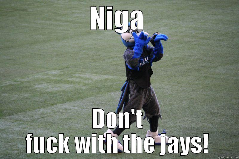 NIGA DON'T FUCK WITH THE JAYS! Socially Awkward Penguin