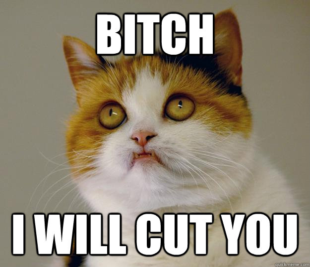 Bitch I will cut you  Anger Management Cat