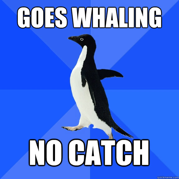 goes whaling no catch  Socially Awkward Penguin