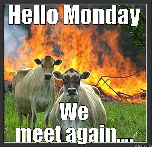 Monday mayhem - HELLO MONDAY WE MEET AGAIN.... Evil cows