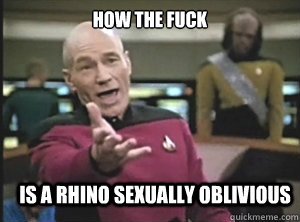 How the fuck Is a rhino sexually oblivious  Annoyed Picard
