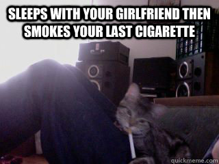 Sleeps with your girlfriend then smokes your last cigarette  Scumbag Cat