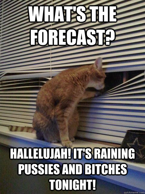 What's the Forecast? Hallelujah! It's raining pussies and bitches tonight!  Peeping Tomcat