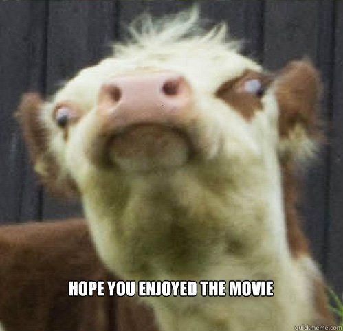 Hope you enjoyed the movie DERP - Hope you enjoyed the movie DERP  Derp Cow