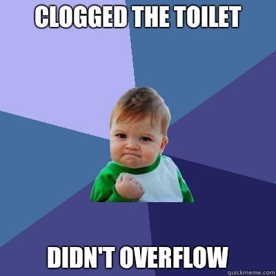 CLOGGED THE TOILET DIDN'T OVERFLOW  Success Kid