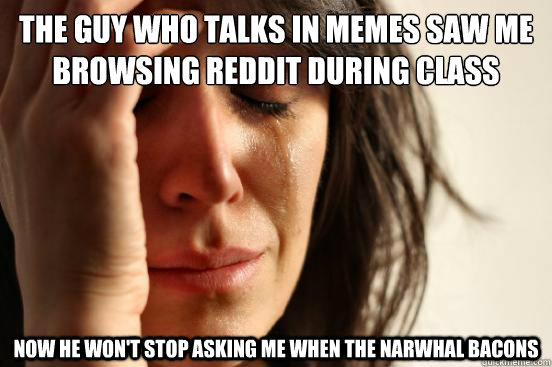 The guy who talks in memes saw me browsing reddit during class now he won't stop asking me when the narwhal bacons  First World Problems