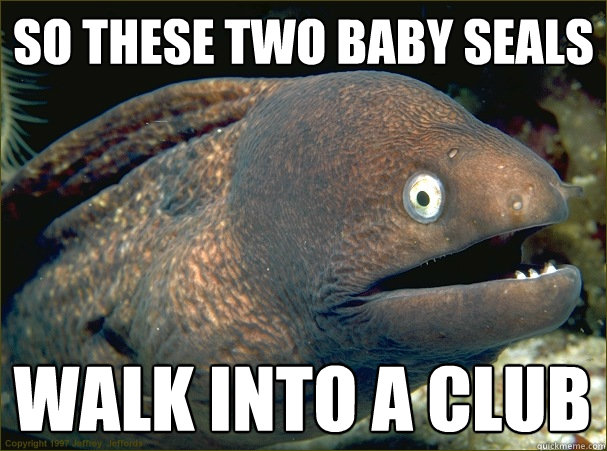 So these two baby seals walk into a club  Bad Joke Eel