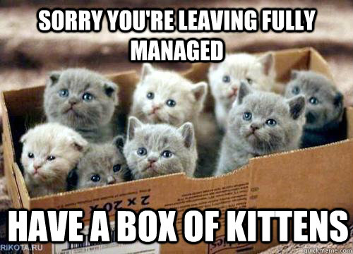 Sorry you're leaving fully managed Have a box of kittens - Sorry you're leaving fully managed Have a box of kittens  Box of Kittens