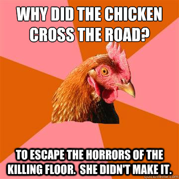 why did the chicken cross the road? to escape the horrors of the killing floor.  she didn't make it.  Anti-Joke Chicken