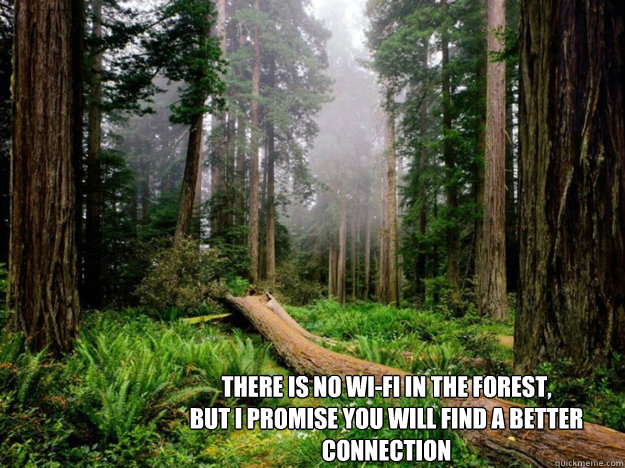 There is NO Wi-Fi in the forest,
but I promise you will find a better Connection

  No Wi Fi