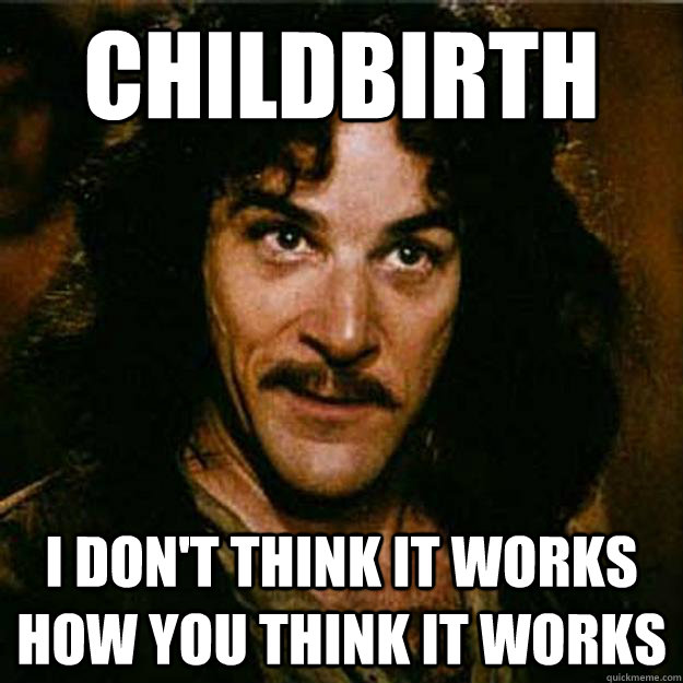 Childbirth I don't think it works how you think it works  Inigo Montoya