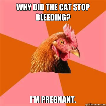 Why did the cat stop bleeding? I'm pregnant.  True story now anti joke chicken