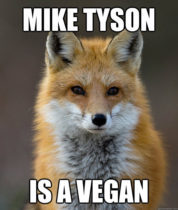 Mike Tyson is a vegan  Fun Fact Fox