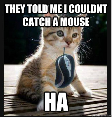 they told me i couldnt catch a mouse ha   