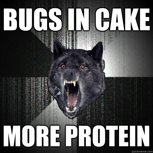 bugs in cake more protein  Insanity Wolf