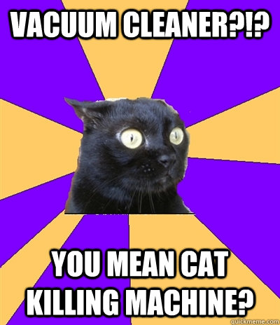 Vacuum Cleaner?!? You mean CAT KILLING MACHINE?  Anxiety Cat