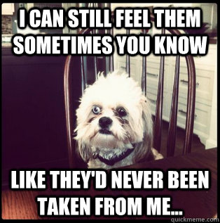 I can still feel them sometimes you know Like they'd never been taken from me...  Life Hardened Dog