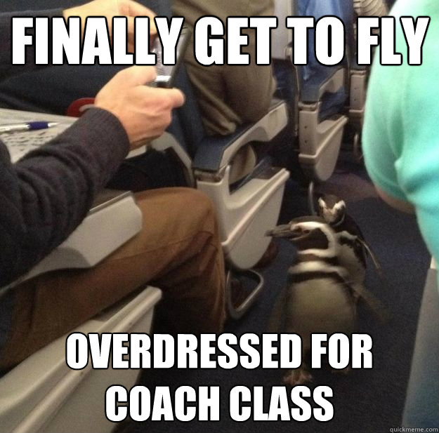 Finally get to fly overdressed for coach class - Finally get to fly overdressed for coach class  Misc