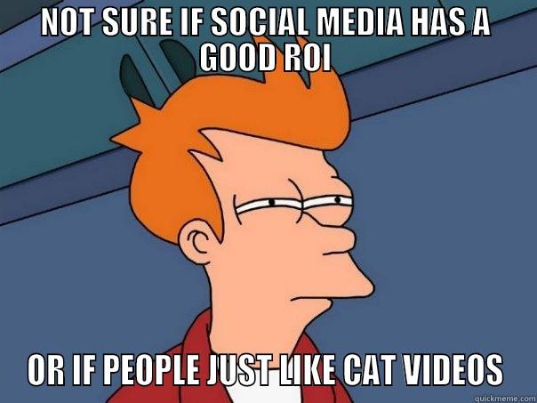 NOT SURE IF SOCIAL MEDIA HAS A GOOD ROI OR IF PEOPLE JUST LIKE CAT VIDEOS Futurama Fry