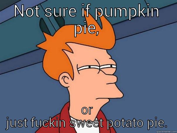 NOT SURE IF PUMPKIN PIE, OR JUST FUCKIN SWEET POTATO PIE. Futurama Fry