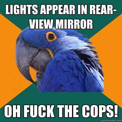 lights appear in rear-view mirror oh fuck the cops!  Paranoid Parrot