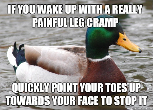 If you wake up with a really painful leg cramp Quickly point your toes up towards your face to stop it  Actual Advice Mallard